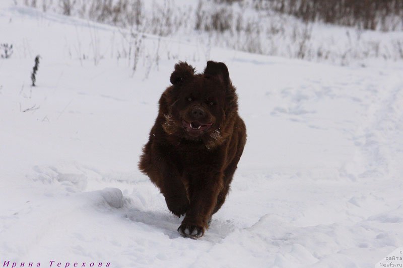 Фотография № 118574