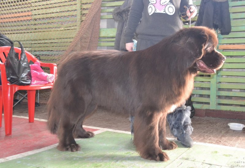 Фотография № 118625