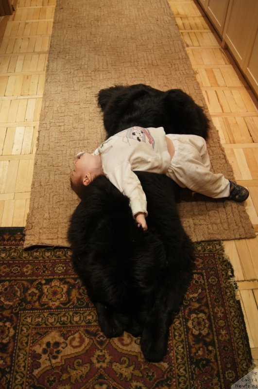 Фотография № 118660