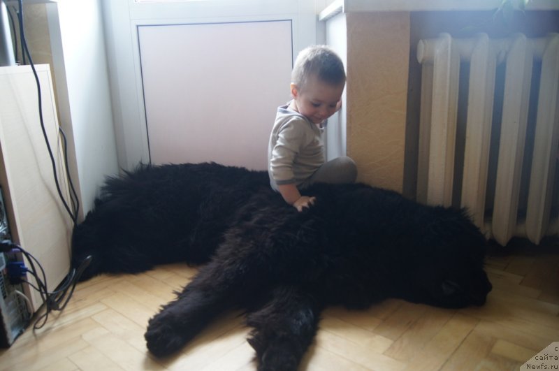 Фотография № 118678