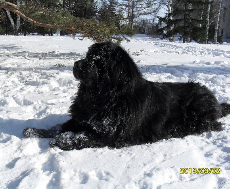 Фотография № 118684