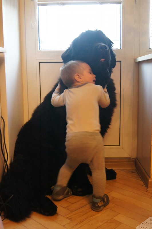 Фотография № 118698