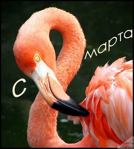 Фотография № 118837