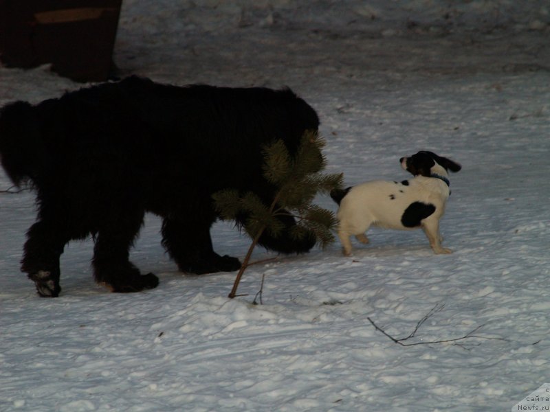 Фотография № 118850