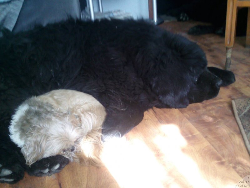 Фото: [d7221] и Ляля