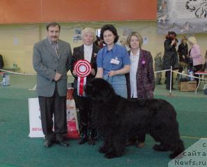 Фотография № 11886