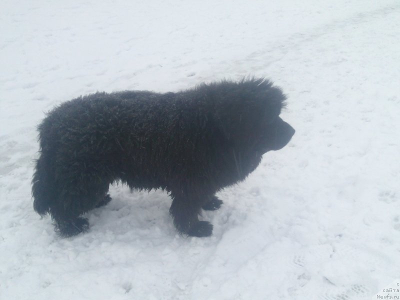 Фотография № 118860