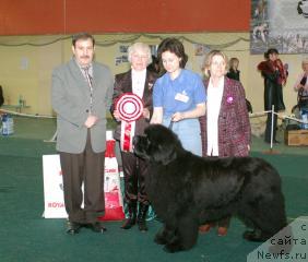 Фотография № 11887