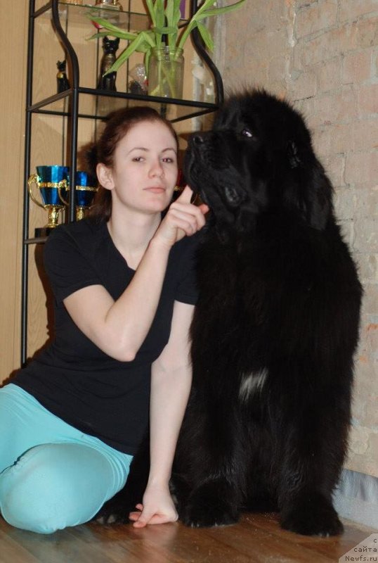 Фотография № 118887