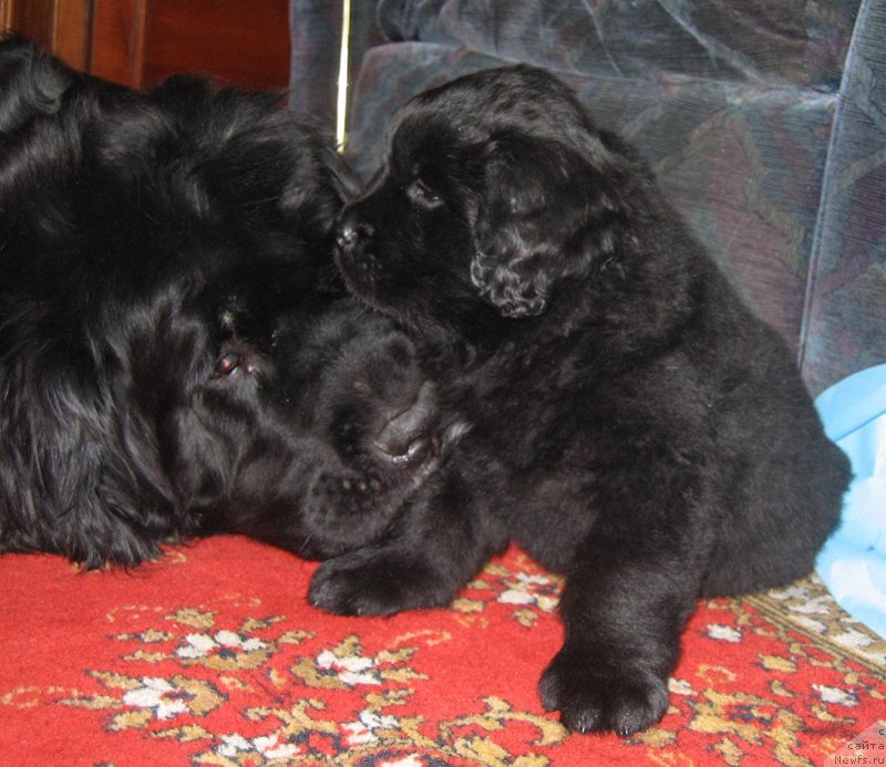 Фотография № 118893