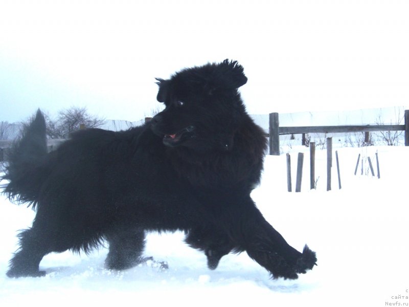 Фотография № 118905