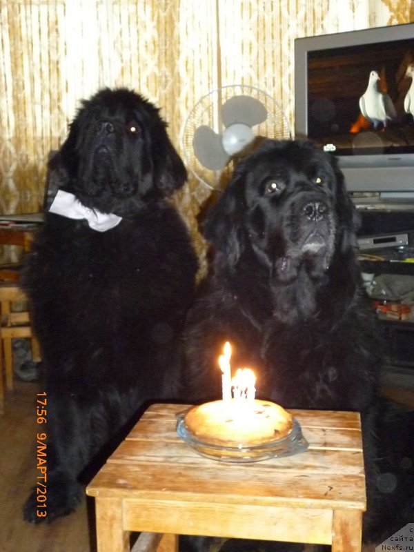 Фотография № 118918