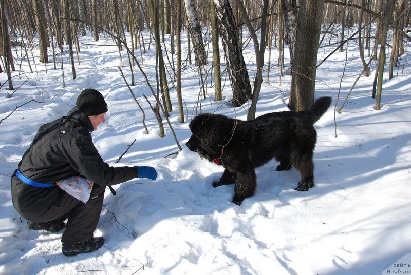 Фотография № 118925