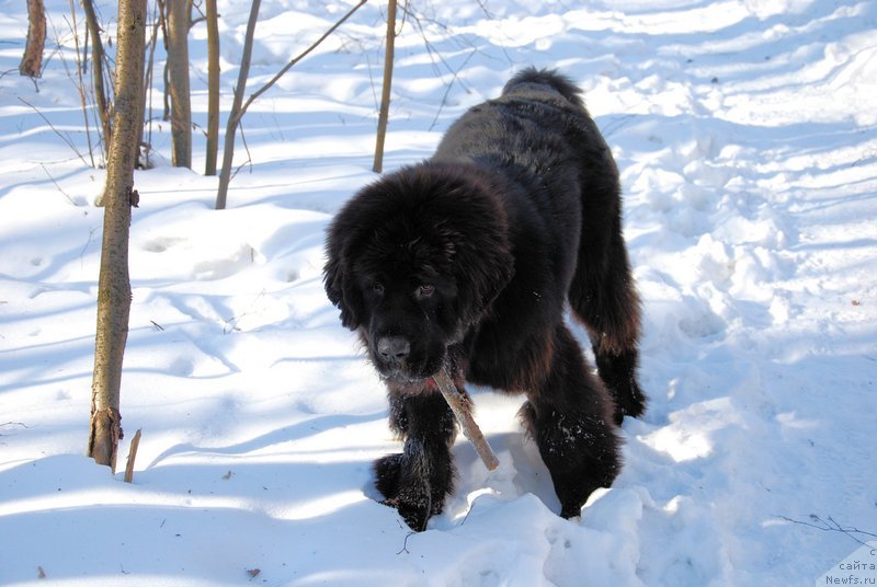 Фотография № 118926