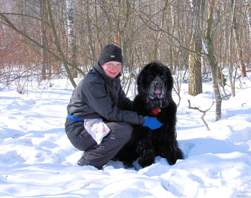 Фотография № 118927