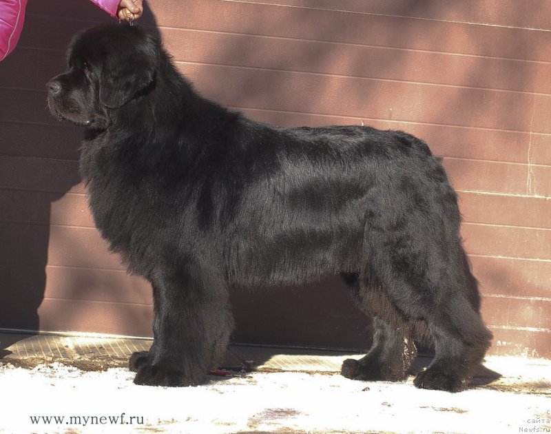 Фотография № 118949