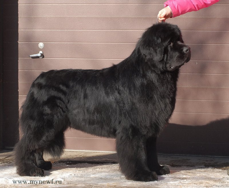 Фотография № 118952