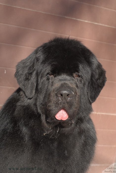 Фотография № 118957