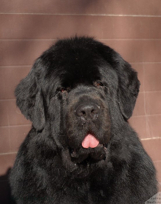 Фотография № 118960