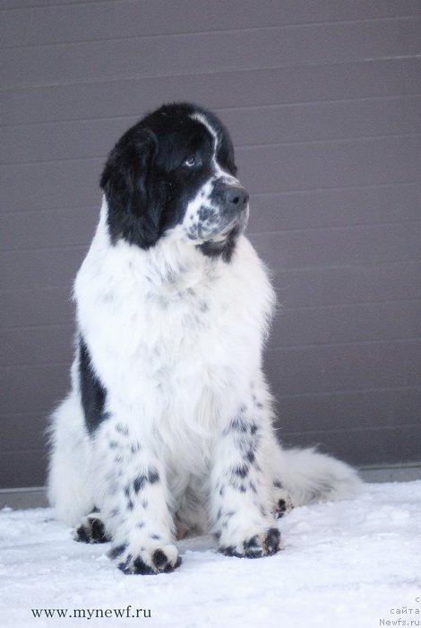 Фотография № 118980