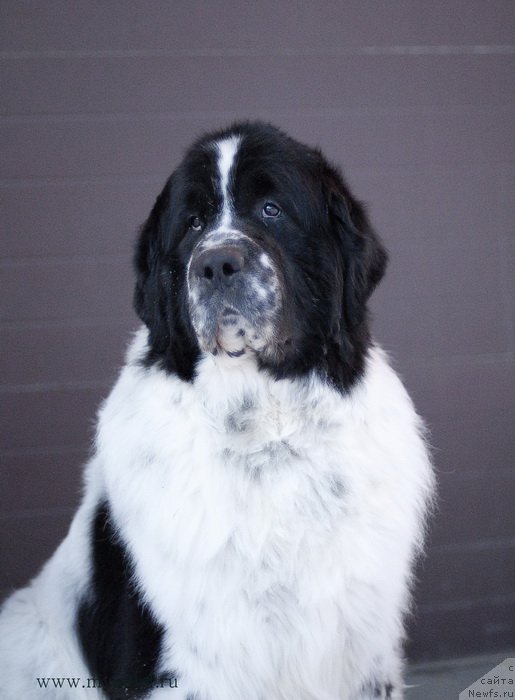 Фотография № 118992