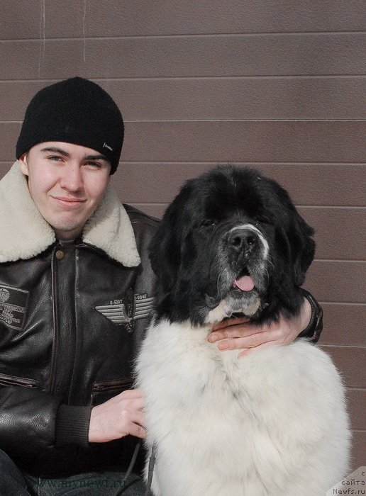 Фотография № 119009