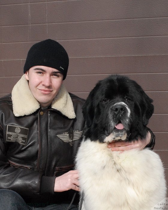 Фотография № 119010