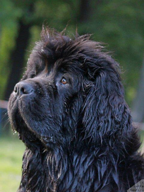 Фотография № 119011