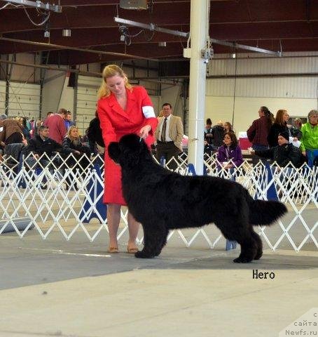 Фотография № 119031