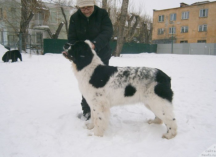 Фотография № 119038