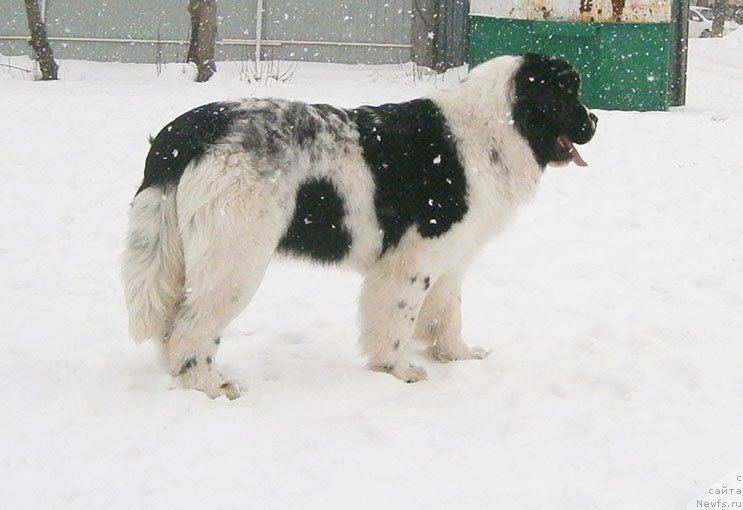 Фотография № 119043