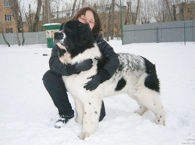 Фото: Маг Исполин Мода Макси