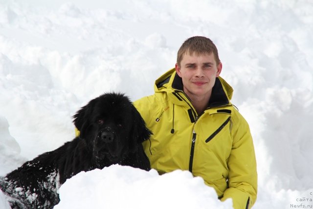 Фотография № 119101