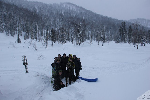 Фотография № 119107