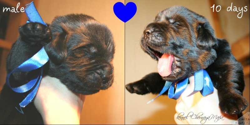 Фотография № 119137