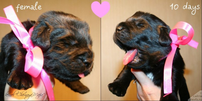 Фотография № 119139