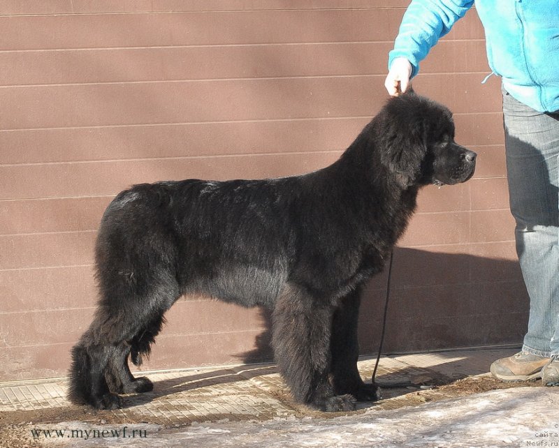 Фотография № 119149