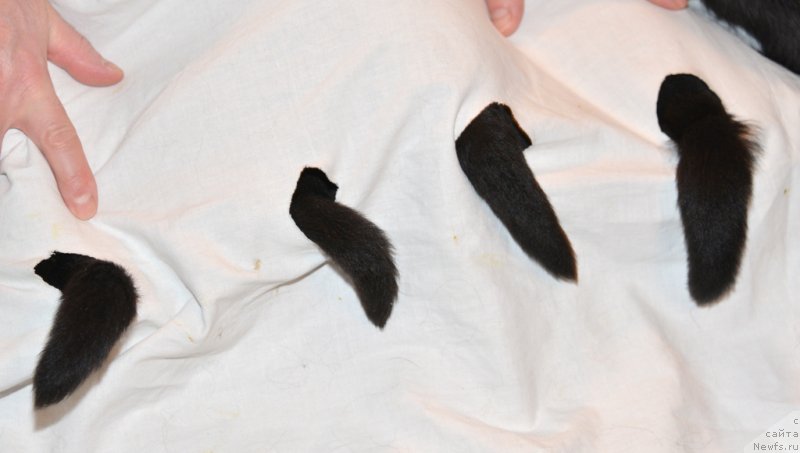 Фото: Anton YAkovlev (Антон Яковлев)