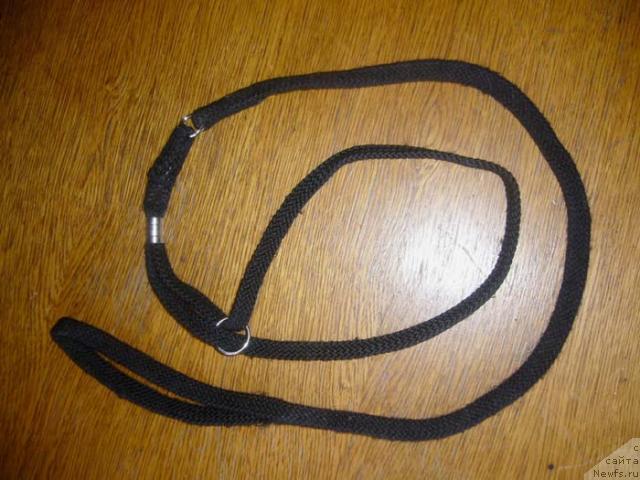 Фотография № 11921