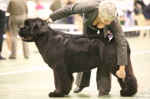 Фотография № 119214