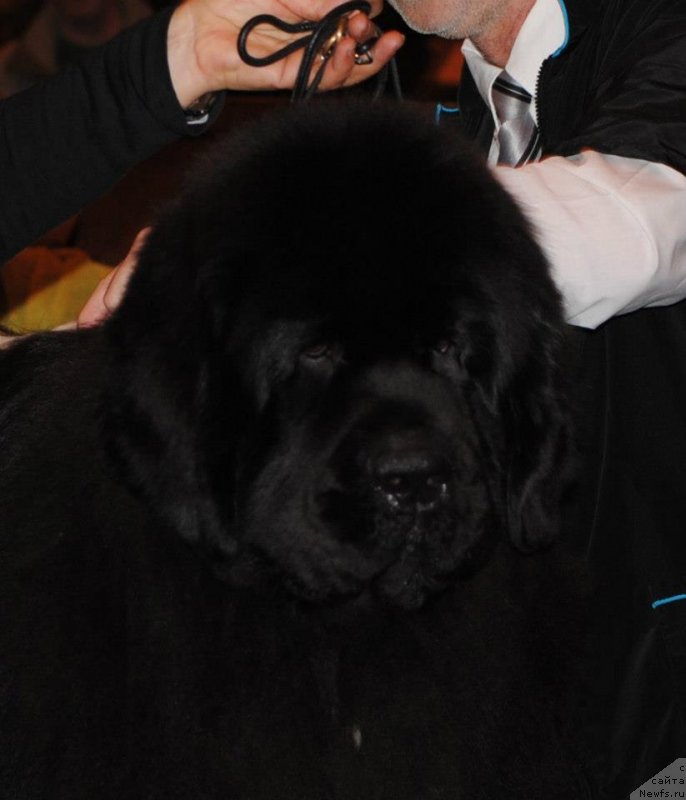 Фотография № 119247