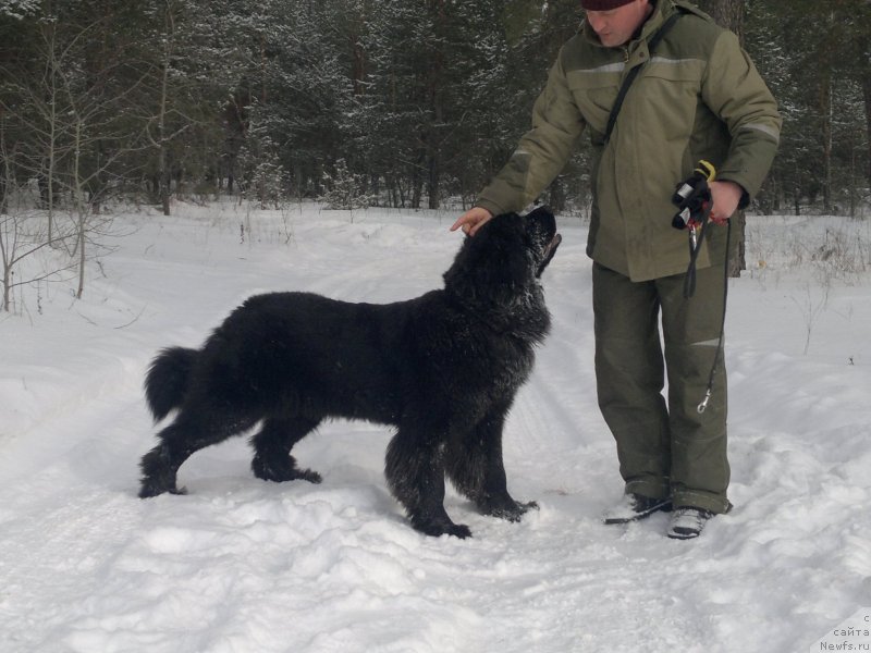 Фотография № 119251