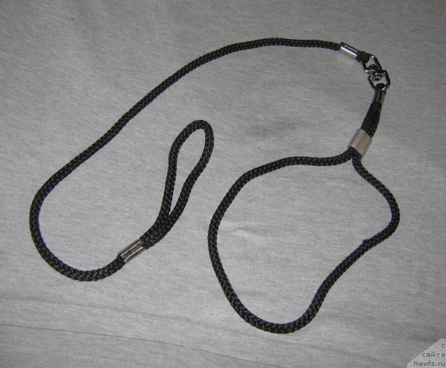 Фотография № 11931