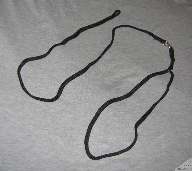 Фотография № 11932