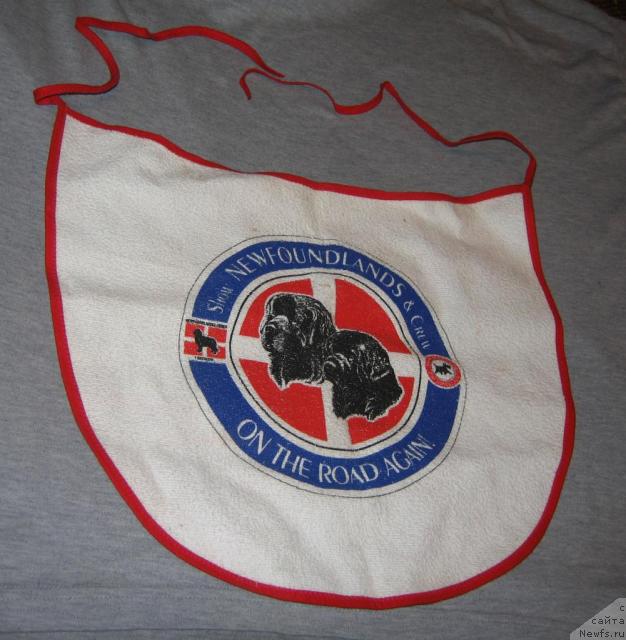 Фотография № 11933