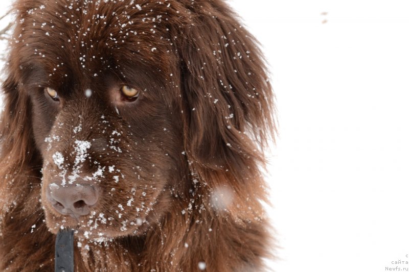 Фото: [p2130] ЗЗося