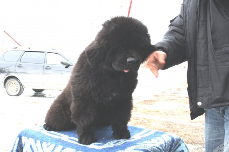 Фотография № 119422