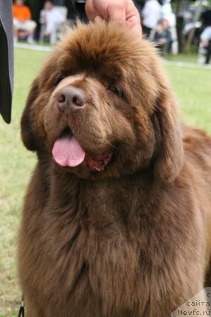 Фотография № 119438