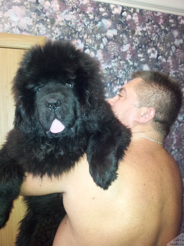 Фотография № 119450