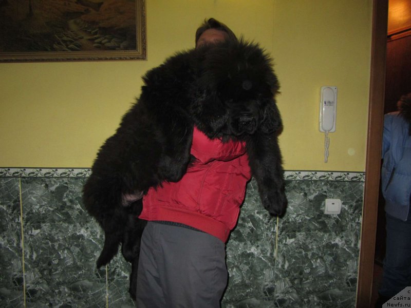 Фотография № 119452